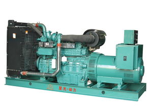 品牌好的福州通柴柴油發(fā)電機(jī)組租賃在福州哪里可以買到 星光通柴柴油發(fā)電機(jī)代理